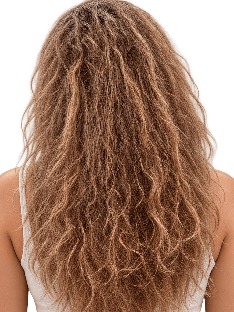 Cheveux secs