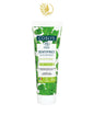 COSLYS DENTIFRICE DENTS SENSBLES MENTHE ET PROPOLIS 75 ML